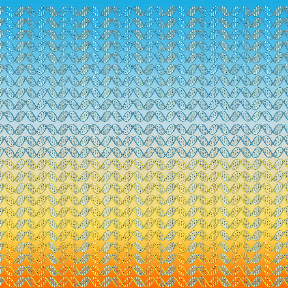 Double helix design, final