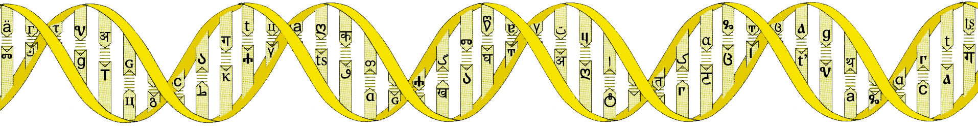 Double helix design, version 4