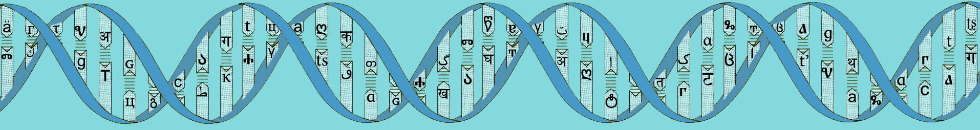 Double helix design, version 5