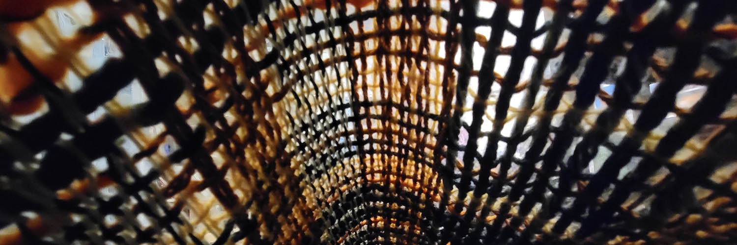 The Locked Loom 1: Gideon the Ninth