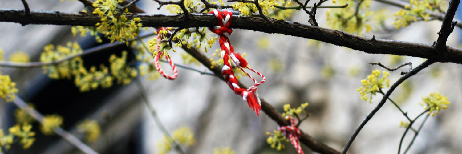 Slavic Linguistics Wiki