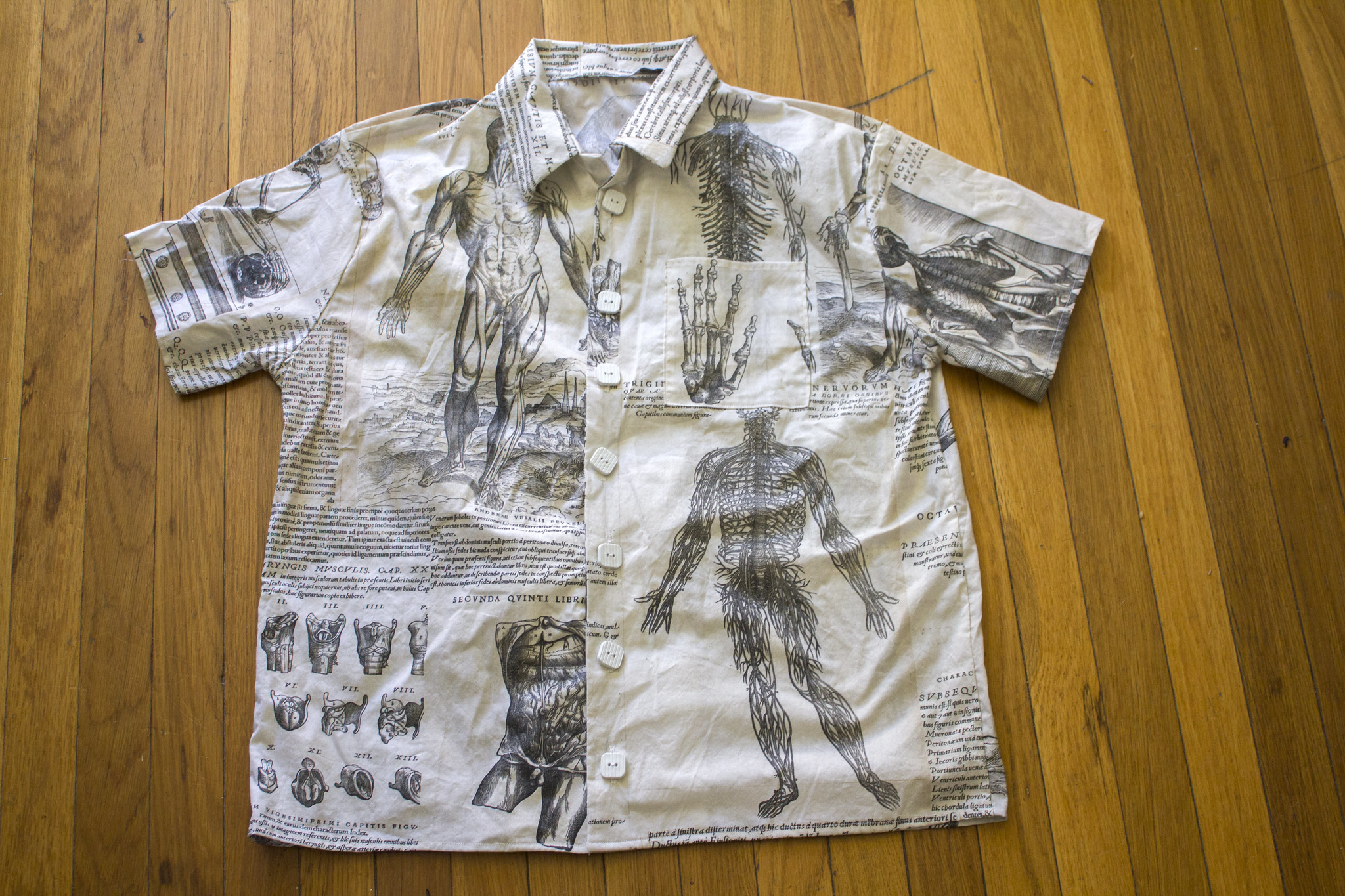 De humani corporis fabrica